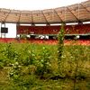 Nigeria: Jak zrujnować najdroższy stadion? Bardzo łatwo