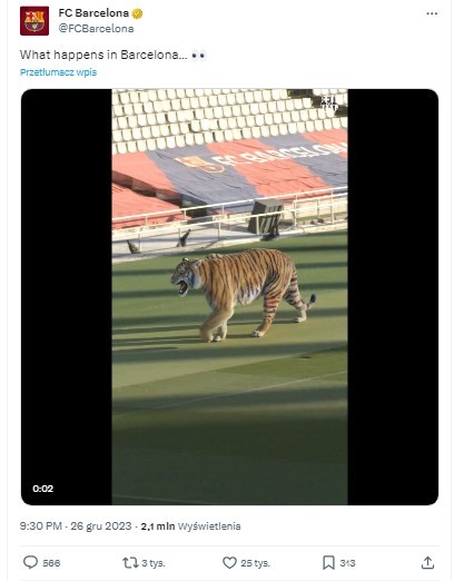 Post Barcelony w serwisie X pokazujący tygrysa na stadionie