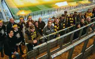 Niemcy: Signal Iduna Park otwarty na potrzebujących w święta