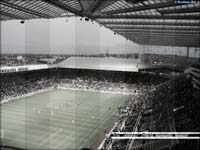 St James' Park - tapeta