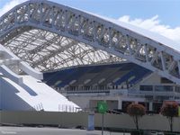 sochi_olympic_stadium