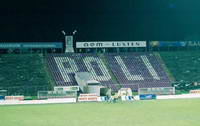 Stadionul Dan Păltinișanu