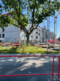 stade_de_la_meinau