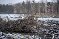 stadion_miejski_w_chelmie