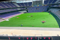 ryan_field