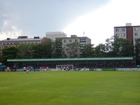 Tammelan stadion